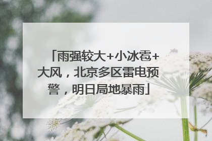 雨强较大+小冰雹+大风，北京多区雷电预警，明日局地暴雨