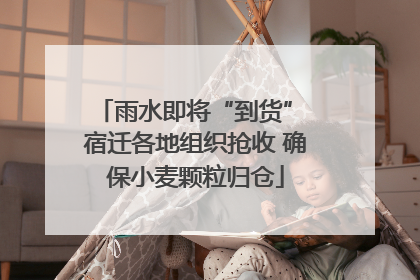 雨水即将“到货” 宿迁各地组织抢收 确保小麦颗粒归仓
