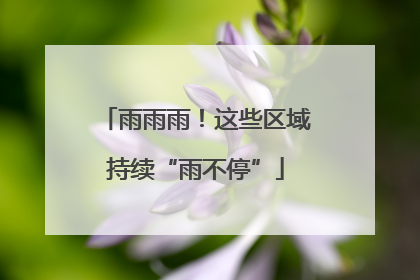 雨雨雨！这些区域持续“雨不停”