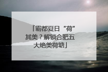 霸都夏日“荷”其美？解锁合肥五大绝美荷塘