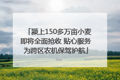 颍上150多万亩小麦即将全面抢收 贴心服务为跨区农机保驾护航
