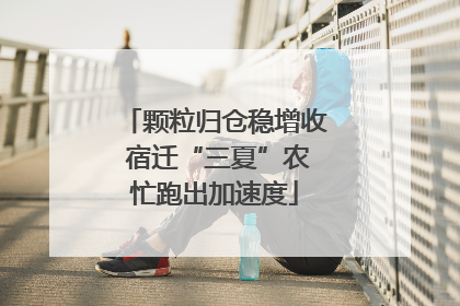 颗粒归仓稳增收 宿迁“三夏”农忙跑出加速度