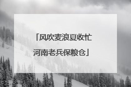 风吹麦浪夏收忙 河南老兵保粮仓