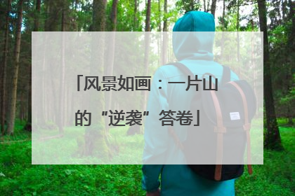 风景如画：一片山的“逆袭”答卷