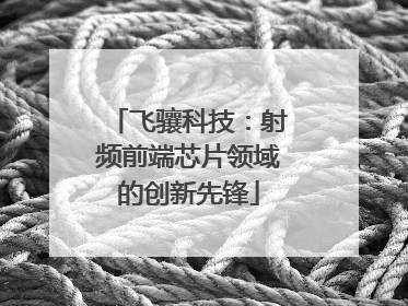 飞骧科技：射频前端芯片领域的创新先锋