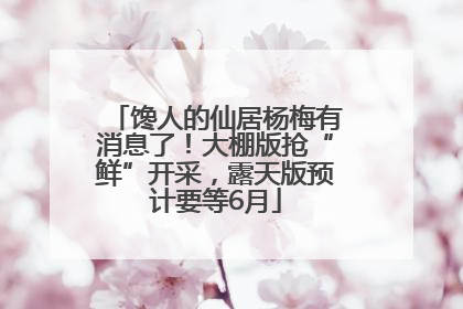 馋人的仙居杨梅有消息了！大棚版抢“鲜”开采，露天版预计要等6月