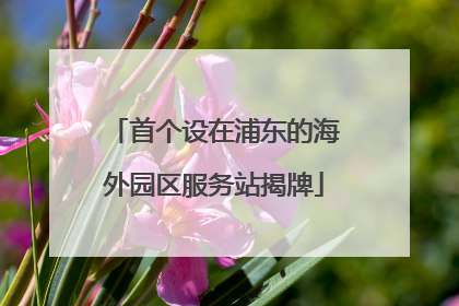 首个设在浦东的海外园区服务站揭牌