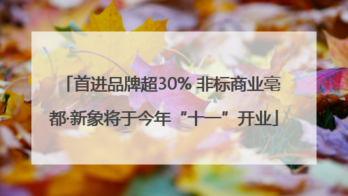 首进品牌超30% 非标商业亳都·新象将于今年“十一”开业