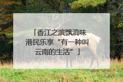 香江之滨飘滇味 港民乐享“有一种叫云南的生活”