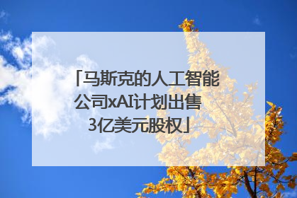 马斯克的人工智能公司xAI计划出售3亿美元股权