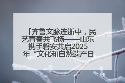 齐鲁文脉连浙中，民艺青春共飞扬——山东携手磐安共启2025年“文化和自然遗产日”系列活动