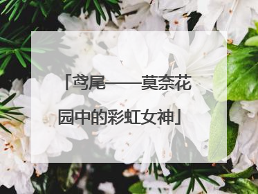 鸢尾——莫奈花园中的彩虹女神