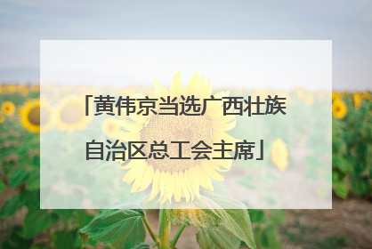 黄伟京当选广西壮族自治区总工会主席