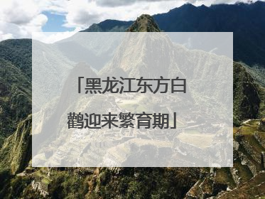 黑龙江东方白鹳迎来繁育期