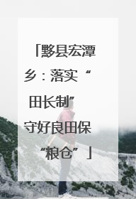黟县宏潭乡：落实“田长制” 守好良田保“粮仓”