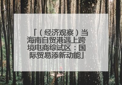 （经济观察）当海南自贸港遇上跨境电商综试区：国际贸易添新动能