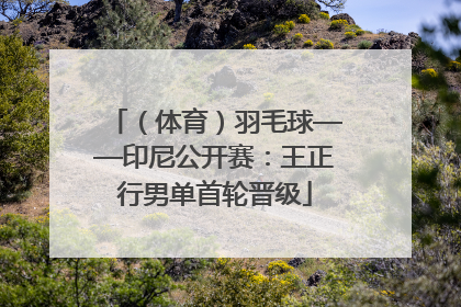 （体育）羽毛球——印尼公开赛：王正行男单首轮晋级
