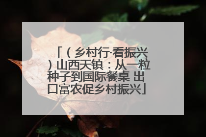 （乡村行·看振兴）山西天镇：从一粒种子到国际餐桌 出口富农促乡村振兴