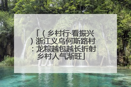 （乡村行·看振兴）浙江义乌何斯路村：龙粽越包越长折射乡村人气渐旺