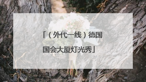 （外代一线）德国国会大厦灯光秀