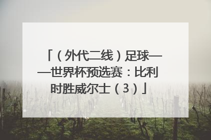 （外代二线）足球——世界杯预选赛：比利时胜威尔士（3）