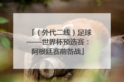 （外代二线）足球——世界杯预选赛：阿根廷赛前备战