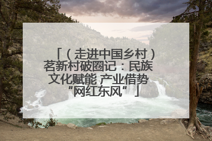 （走进中国乡村）茗新村破圈记：民族文化赋能 产业借势 “网红东风”