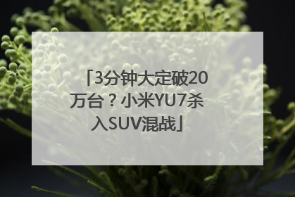 3分钟大定破20万台？小米YU7杀入SUV混战