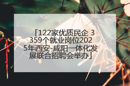 122家优质民企 3359个就业岗位2025年西安-咸阳一体化发展联合招聘会举办