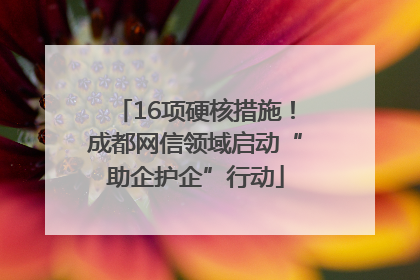 16项硬核措施！成都网信领域启动“助企护企”行动