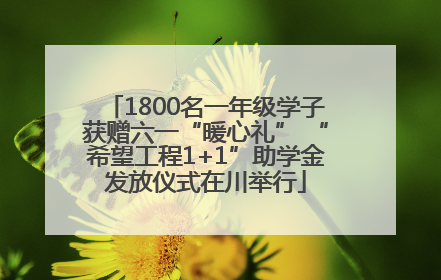 1800名一年级学子获赠六一“暖心礼” “希望工程1+1”助学金发放仪式在川举行