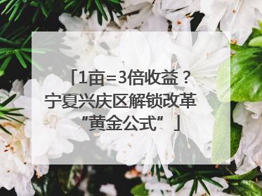 1亩=3倍收益？宁夏兴庆区解锁改革“黄金公式”
