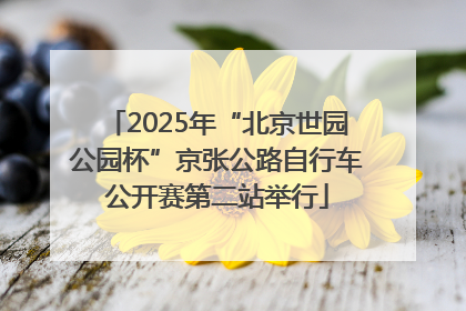 2025年“北京世园公园杯”京张公路自行车公开赛第二站举行