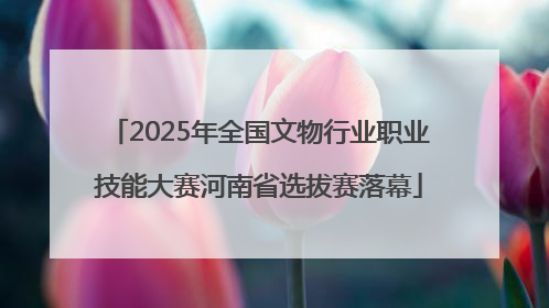 2025年全国文物行业职业技能大赛河南省选拔赛落幕