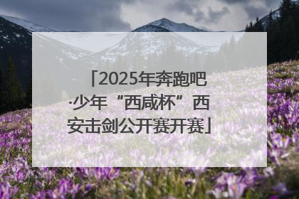 2025年奔跑吧·少年“西咸杯”西安击剑公开赛开赛