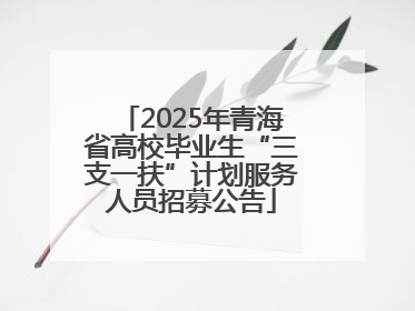 2025年青海省高校毕业生“三支一扶”计划服务人员招募公告