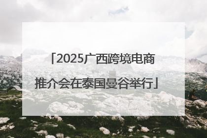 2025广西跨境电商推介会在泰国曼谷举行