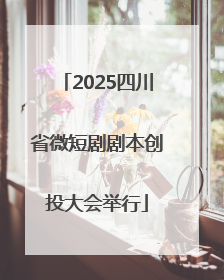 2025四川省微短剧剧本创投大会举行