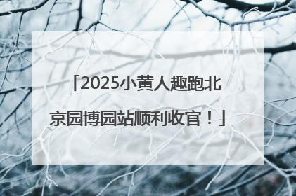 2025小黄人趣跑北京园博园站顺利收官！
