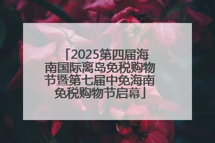 2025第四届海南国际离岛免税购物节暨第七届中免海南免税购物节启幕