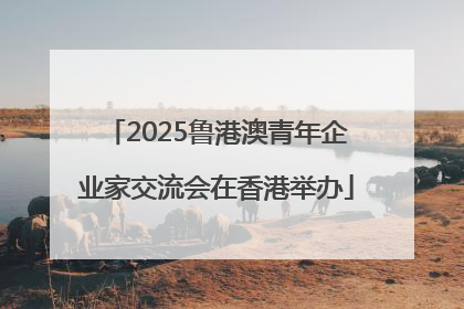 2025鲁港澳青年企业家交流会在香港举办