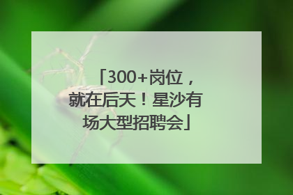 300+岗位，就在后天！星沙有场大型招聘会