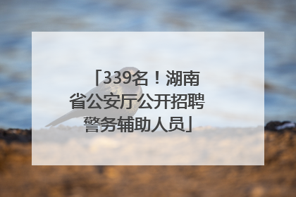 339名！湖南省公安厅公开招聘警务辅助人员