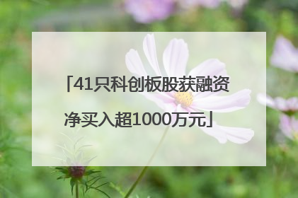 41只科创板股获融资净买入超1000万元