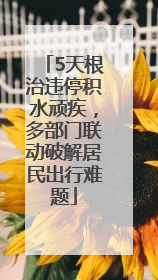 5天根治违停积水顽疾，多部门联动破解居民出行难题