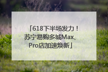 618下半场发力！苏宁易购多城Max、Pro店加速焕新
