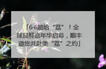 6·6超给“荔”！全球品鲜嘉年华启幕，顺丰邀您共赴美“荔”之约