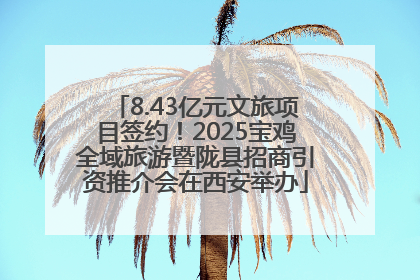 8.43亿元文旅项目签约！2025宝鸡全域旅游暨陇县招商引资推介会在西安举办