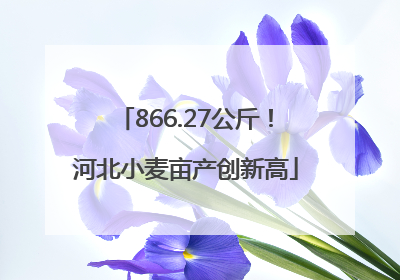 866.27公斤！河北小麦亩产创新高