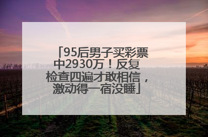 95后男子买彩票中2930万！反复检查四遍才敢相信，激动得一宿没睡
